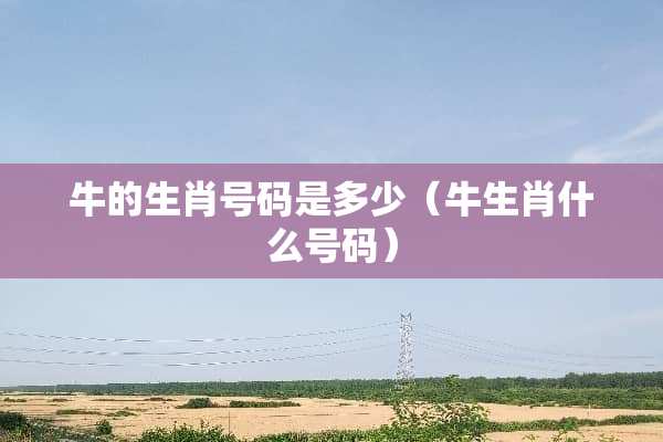 牛的生肖号码是多少（牛生肖什么号码）