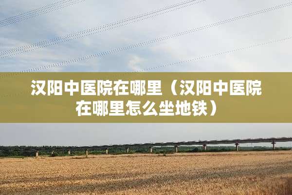 汉阳中医院在哪里（汉阳中医院在哪里怎么坐地铁）
