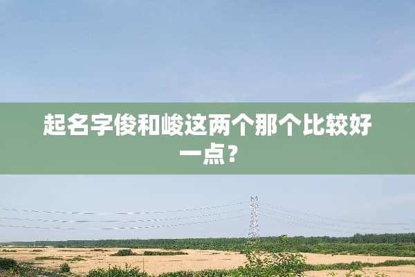 起名字俊和峻这两个那个比较好一点？