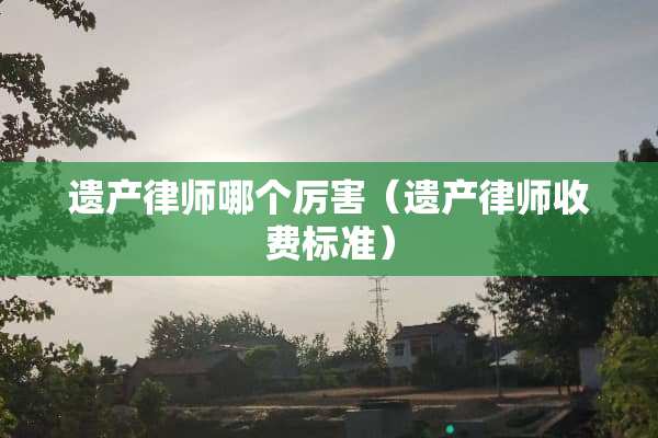 遗产律师哪个厉害（遗产律师收费标准）