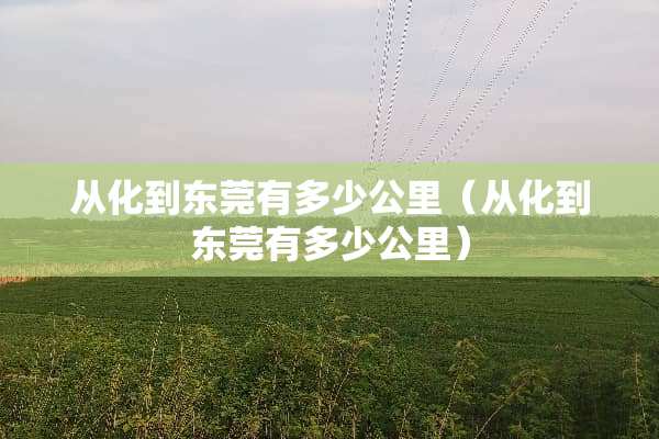 从化到东莞有多少公里（从化到东莞有多少公里）