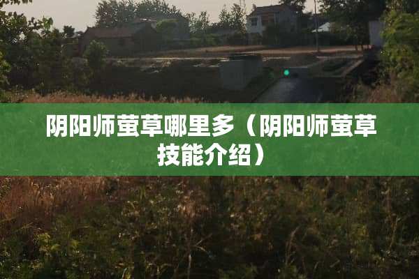 *阳师萤草哪里多（*阳师萤草技能介绍）
