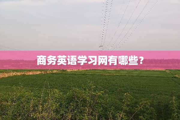 商务英语学习网有哪些？