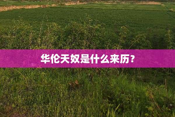 华伦天*是什么来历？