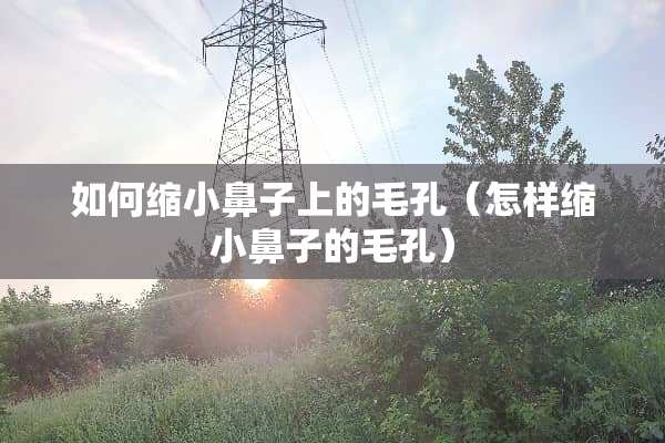 如何缩小鼻子上的毛孔（怎样缩小鼻子的毛孔）