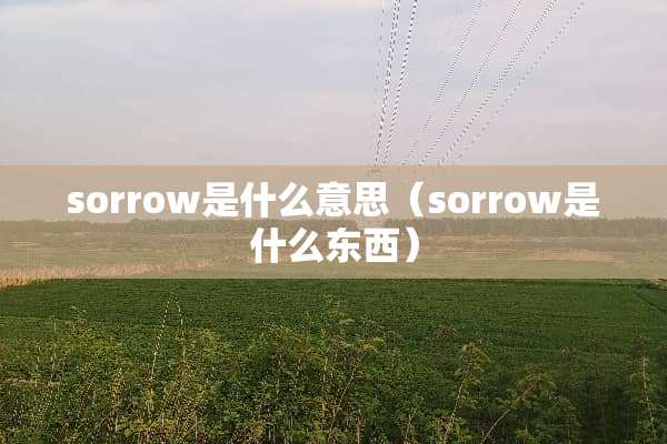 sorrow是什么意思（sorrow是什么东西）