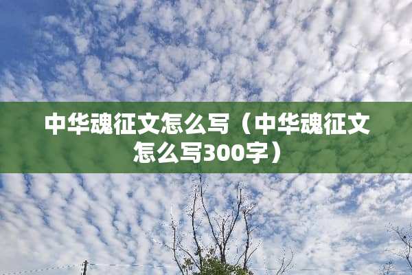中华魂征文怎么写（中华魂征文怎么写300字）