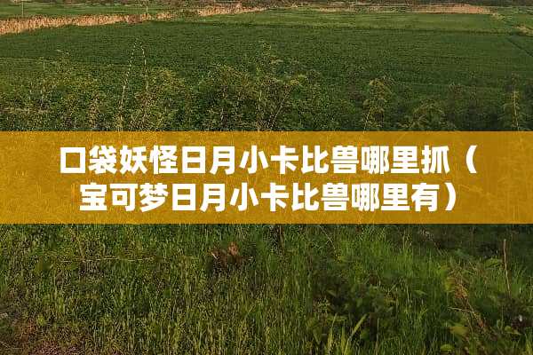 口袋妖怪日月小卡比兽哪里抓（宝可梦日月小卡比兽哪里有）