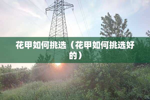 花甲如何挑选（花甲如何挑选好的）