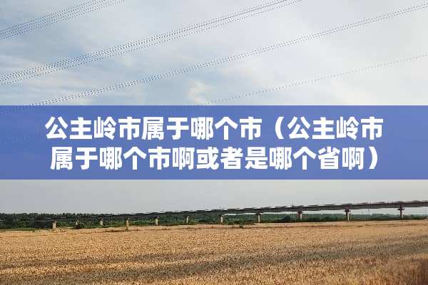 公主岭市属于哪个市（公主岭市属于哪个市啊或者是哪个省啊）