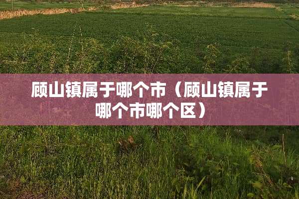 顾山镇属于哪个市（顾山镇属于哪个市哪个区）