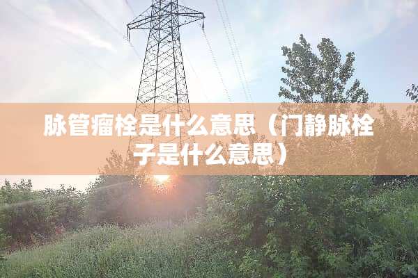 脉管瘤栓是什么意思（门静脉栓子是什么意思）