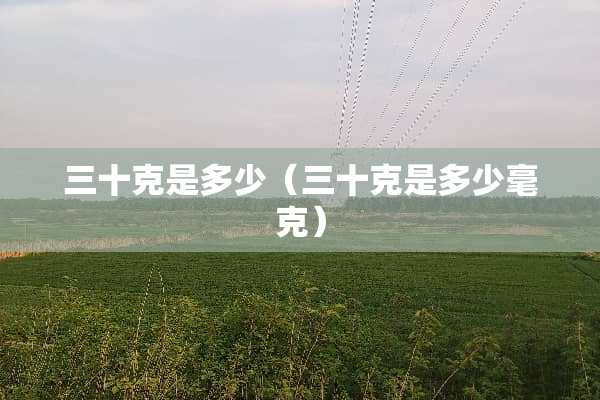 三十克是多少（三十克是多少毫克）