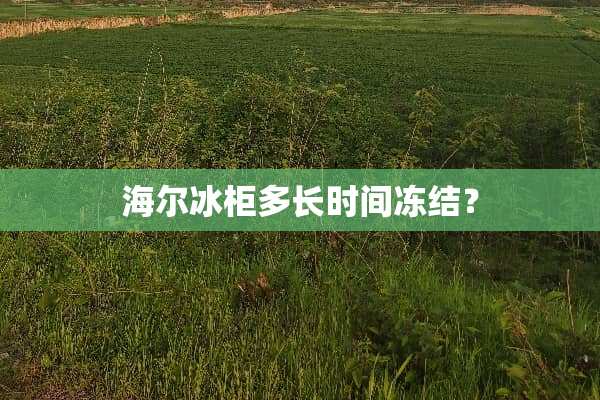 海尔冰柜多长时间冻结？