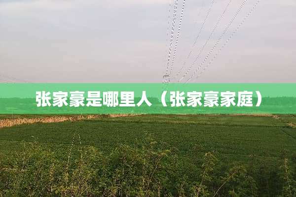 张家豪是哪里人（张家豪家庭）