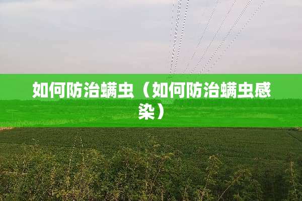 如何防治螨虫（如何防治螨虫感染）