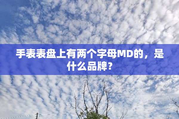 手表表盘上有两个字母MD的，是什么品牌？