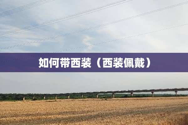 如何带西装（西装佩戴）