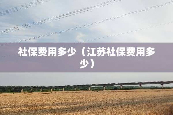 社保费用多少（江苏社保费用多少）