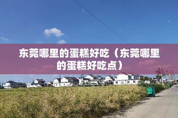 东莞哪里的蛋糕好吃（东莞哪里的蛋糕好吃点）