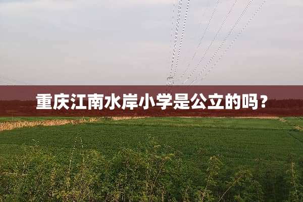 重庆江南水岸小学是公立的吗？