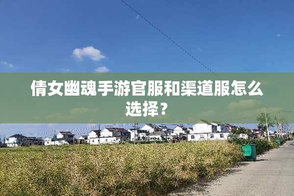 倩女幽魂手游官服和渠道服怎么选择？