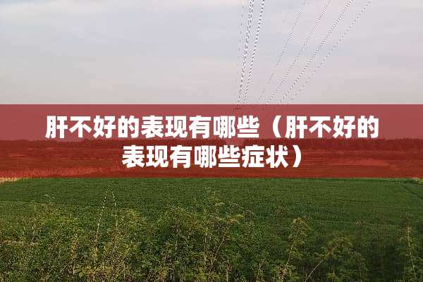 肝不好的表现有哪些（肝不好的表现有哪些症状）