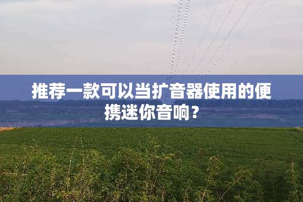 推荐一款可以当扩音器使用的便携迷你音响？