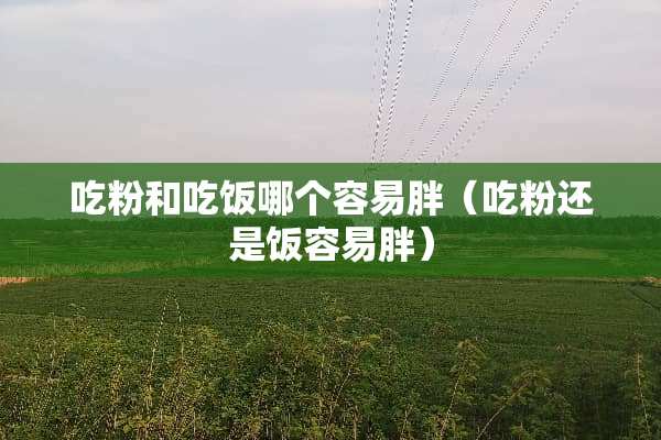 吃粉和吃饭哪个容易胖（吃粉还是饭容易胖）