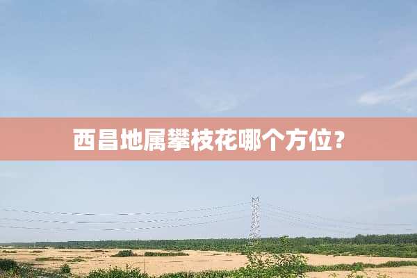 西昌地属攀枝花哪个方位？