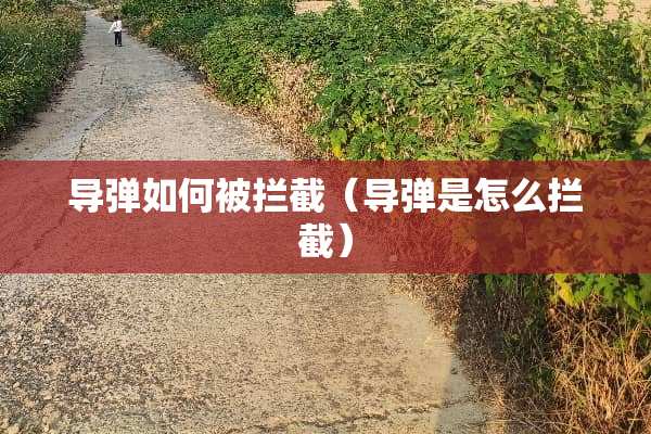 **如何被拦截（**是怎么拦截）