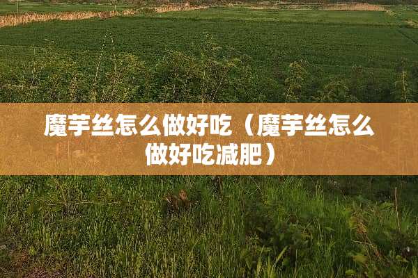 魔芋丝怎么做好吃（魔芋丝怎么做好吃减肥）