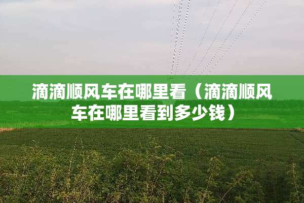 滴滴顺风车在哪里看（滴滴顺风车在哪里看到多少钱）