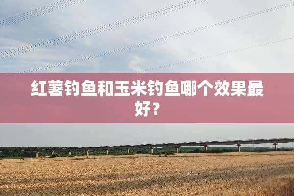 红薯钓鱼和玉米钓鱼哪个效果最好？