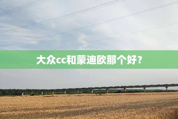 大众cc和蒙迪欧那个好？