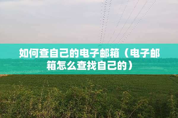 如何查自己的电子邮箱（电子邮箱怎么查找自己的）