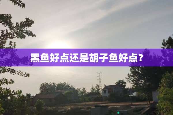黑鱼好点还是胡子鱼好点？