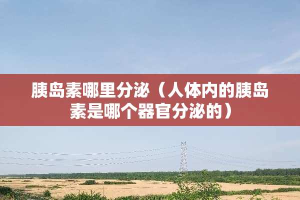 胰岛素哪里分泌（人体内的胰岛素是哪个**分泌的）