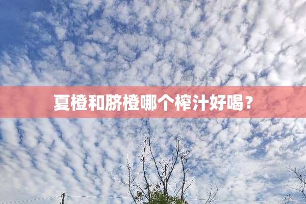 夏橙和脐橙哪个榨汁好喝？