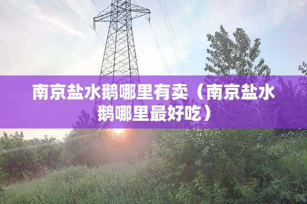 南京盐水鹅哪里有卖（南京盐水鹅哪里最好吃）