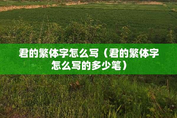 君的繁体字怎么写（君的繁体字怎么写的多少笔）