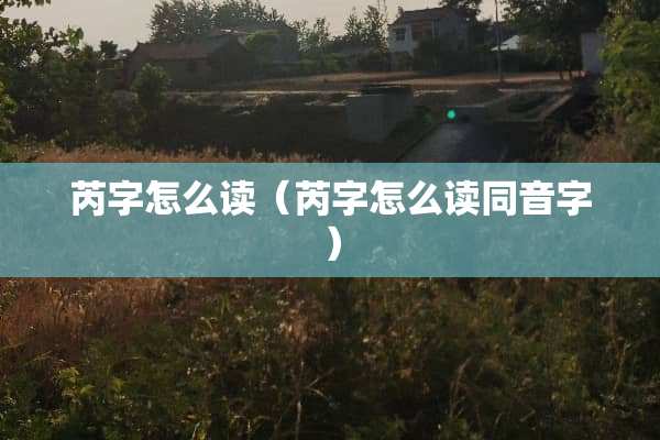 芮字怎么读（芮字怎么读同音字）