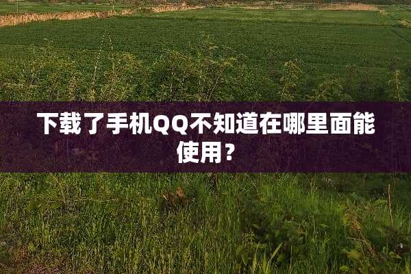 下载了手机QQ不知道在哪里面能使用？
