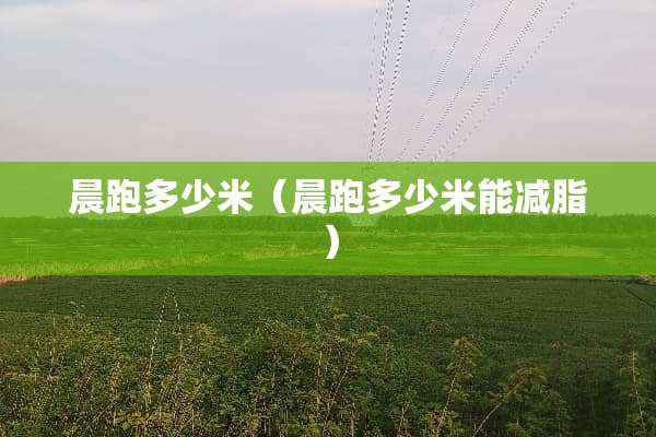 晨跑多少米（晨跑多少米能减脂）