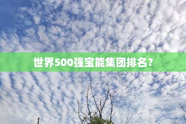 世界500强宝能集团排名？