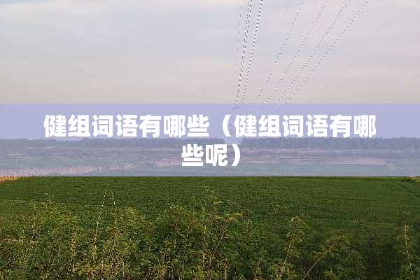 健组词语有哪些（健组词语有哪些呢）