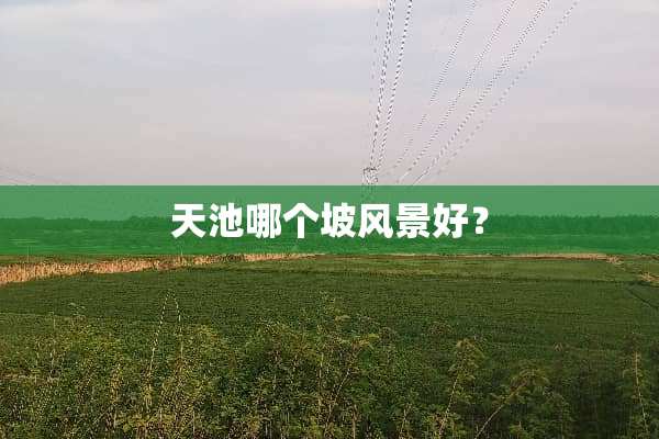 天池哪个坡风景好？