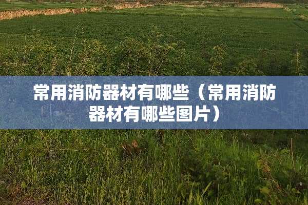 常用消防器材有哪些（常用消防器材有哪些图片）
