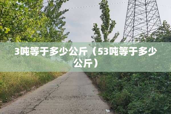 3吨等于多少公斤（53吨等于多少公斤）
