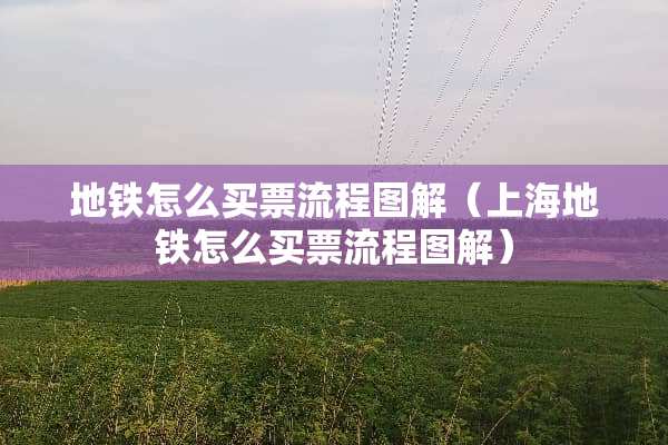 地铁怎么买票流程图解（上海地铁怎么买票流程图解）